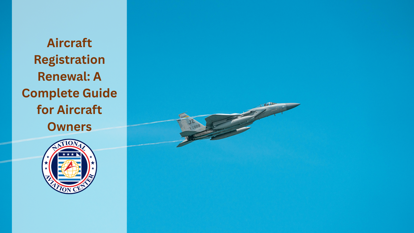 Aircraft Registration Renewal Renewal Document Review Aircraft Registration Renewal renewal document review for aircraft registration renewal